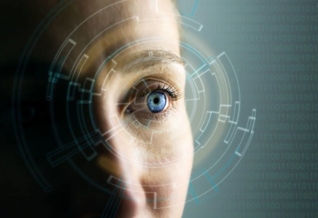 Variedad de alimentos con luteína y betacaroteno